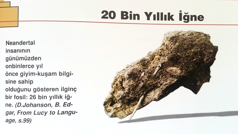 26 BİN YILLIK İGNE.jpg